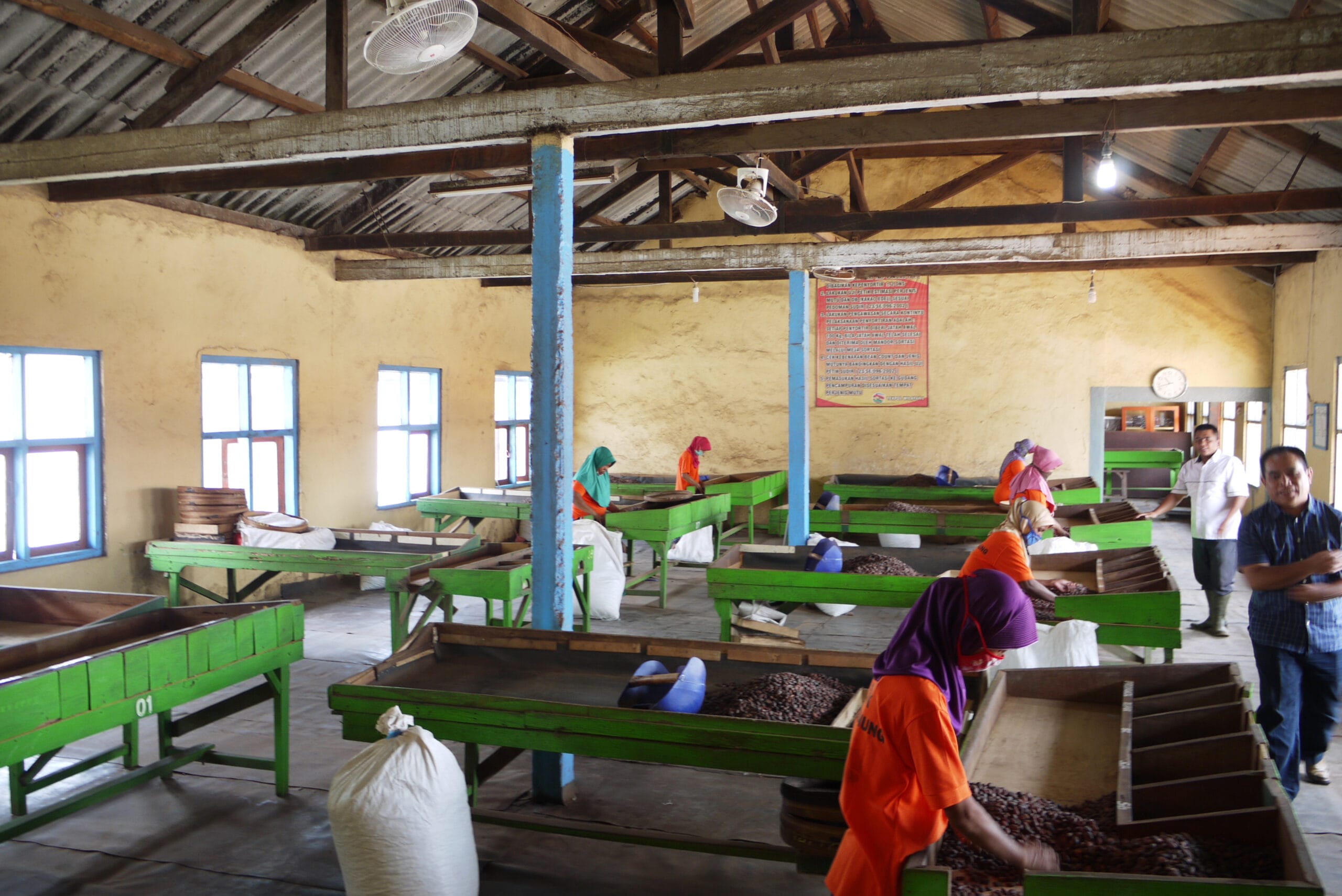 Frauen sortieren in einer Halle die fertigen, getrockneten Kakaobohnen - aufgenommen von Crafting Markets auf Java in Indonesien