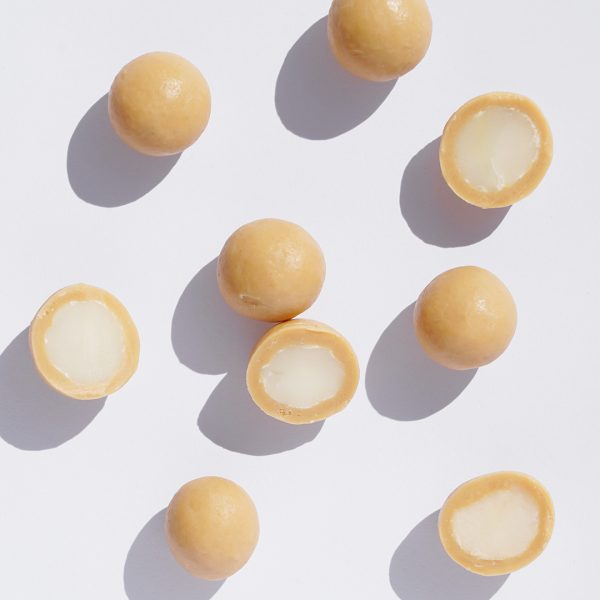 Schokolierte Macadamia Nüsse in blonder Schokolade auf weißem Hintergrund, teilweise aufgeschnitten.