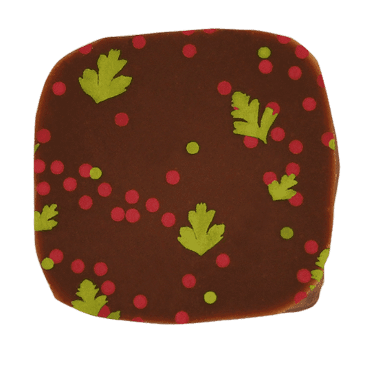 Pott-au-Chocolat-Praline-Aprikose-Koriander-V2