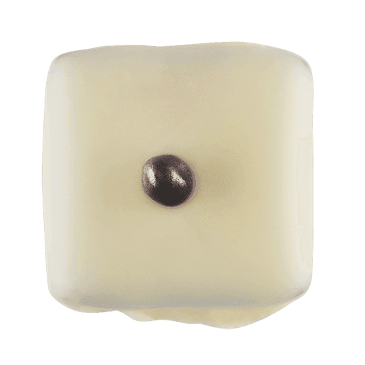 Pott-au-Chocolat-Praline-Brombeere-V2