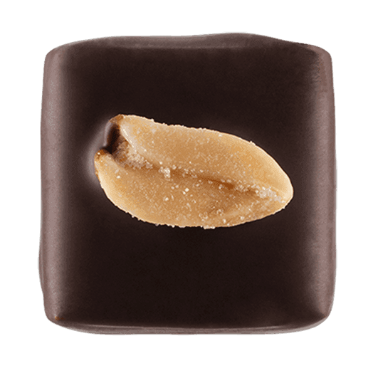 Pott-au-Chocolat-Praline-Erdnuss
