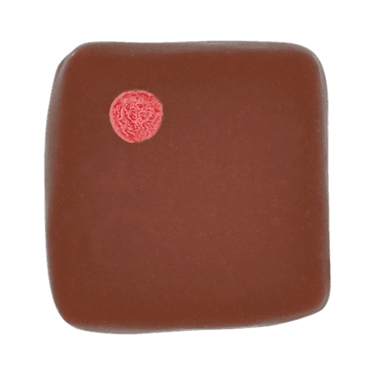 Pott-au-Chocolat-Praline-Rhabarber