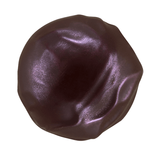 Pott-au-Chocolat-Vegan-Praline-Brand-Zwetschge