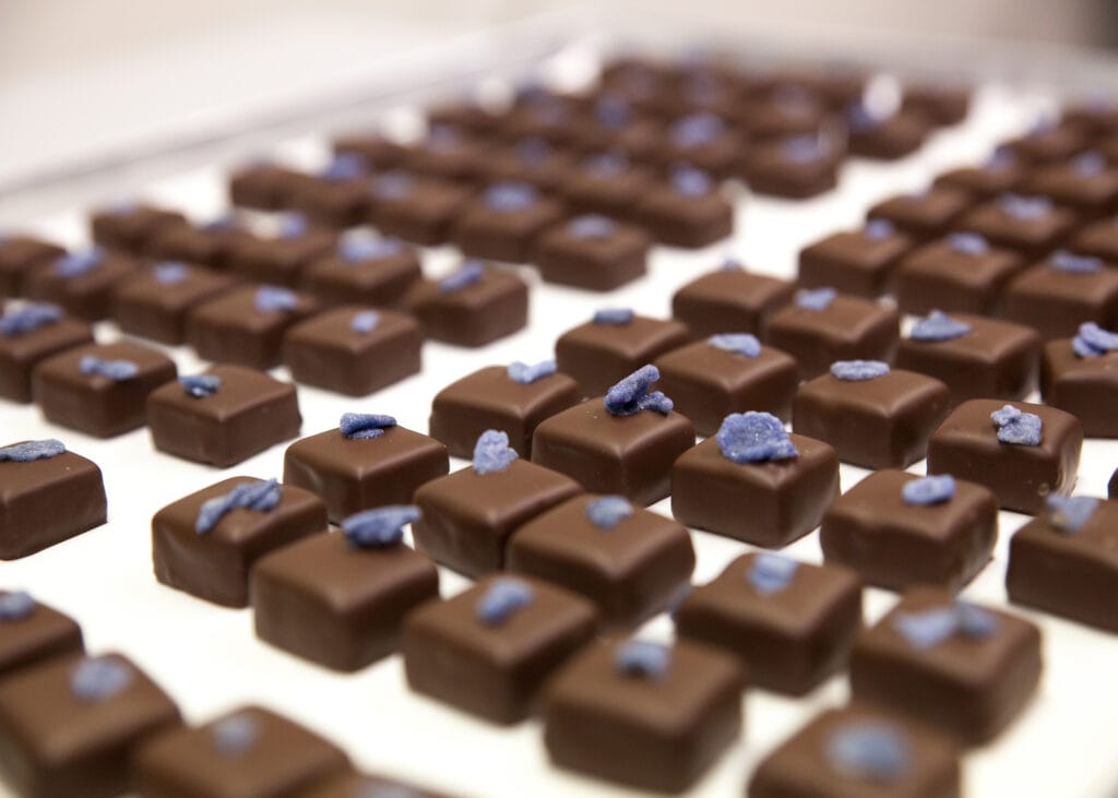 fertig verzierte Veilchen-Pralinen 