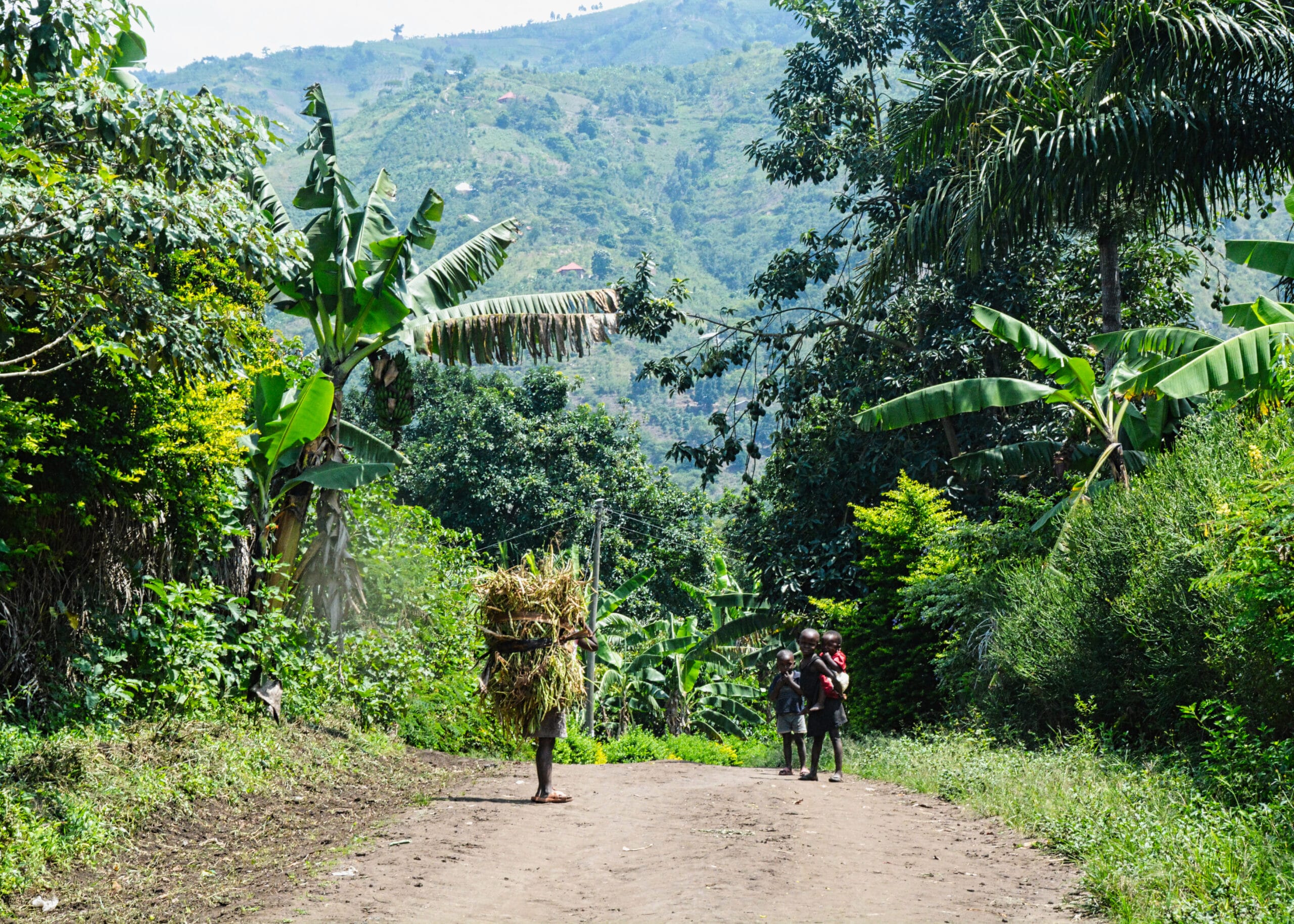 Eine Bergstrasse in Budibugyo Uganda mit einem Menschen der Schilf auf dem Rücken trägt und drei Kindern die sich nach dem Fotografen umsehen