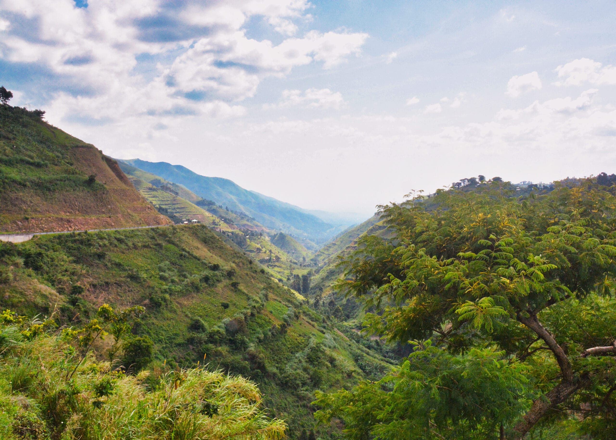 Blick auf die grüne Berglandschaft von Bundibugyo in Uganda